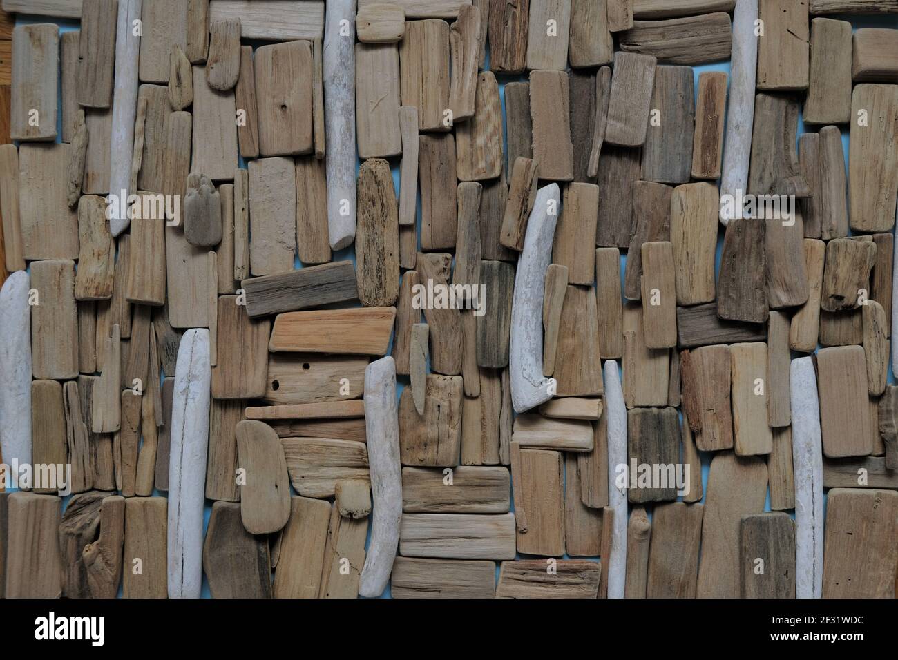 Driftwood wall.beach driftwood background.Marine grigio e marrone driftwood set. Pannello in uno stile marino.Driftwood decor nautico style.Flat Lay.Natural Foto Stock