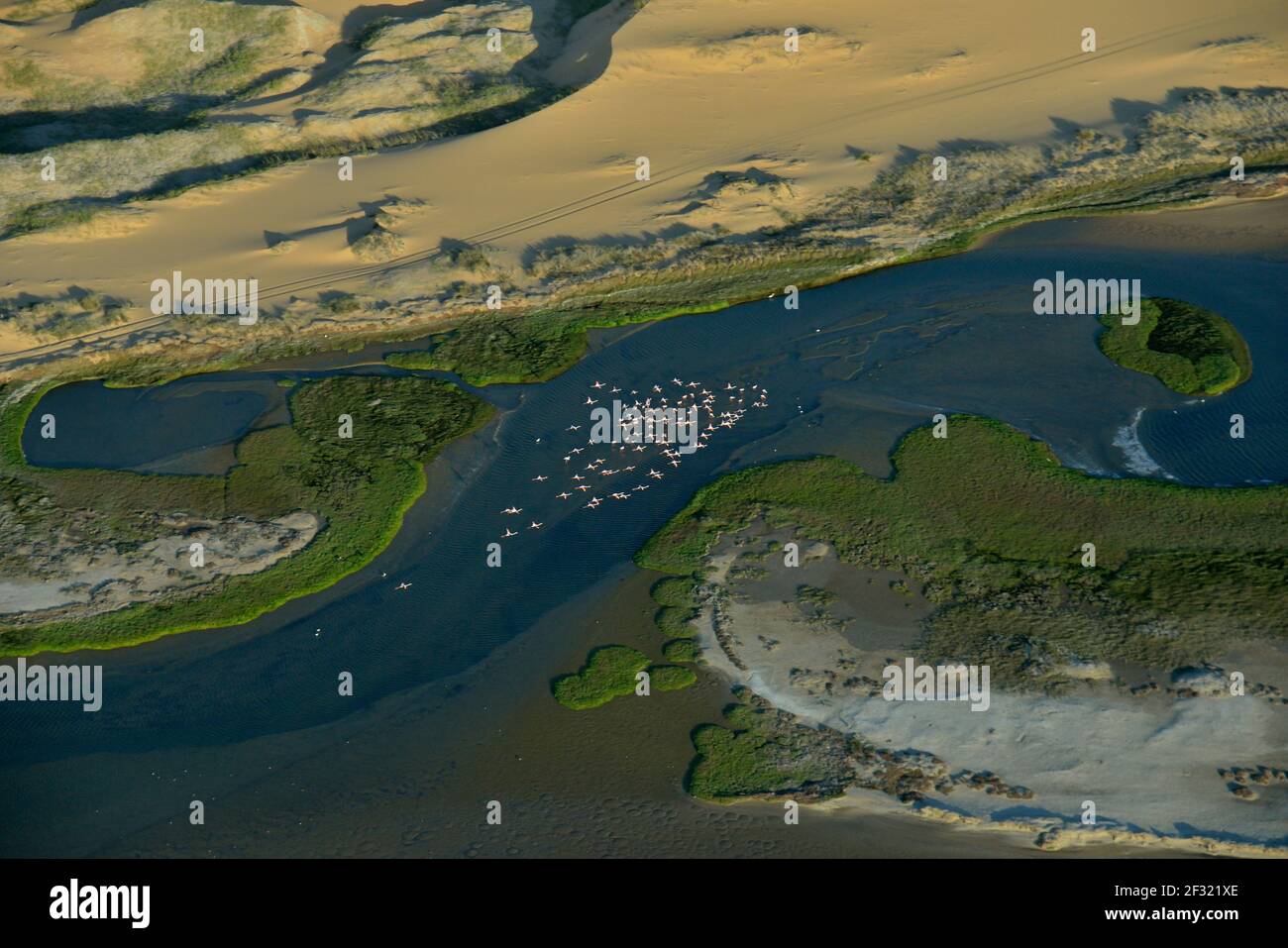 Geografia / viaggio, Namibia, Flamingo Swame attraverso il porto sandwich, fotografia aerea, Namib Naukluft, diritti aggiuntivi-clearance-Info-non-disponibile Foto Stock