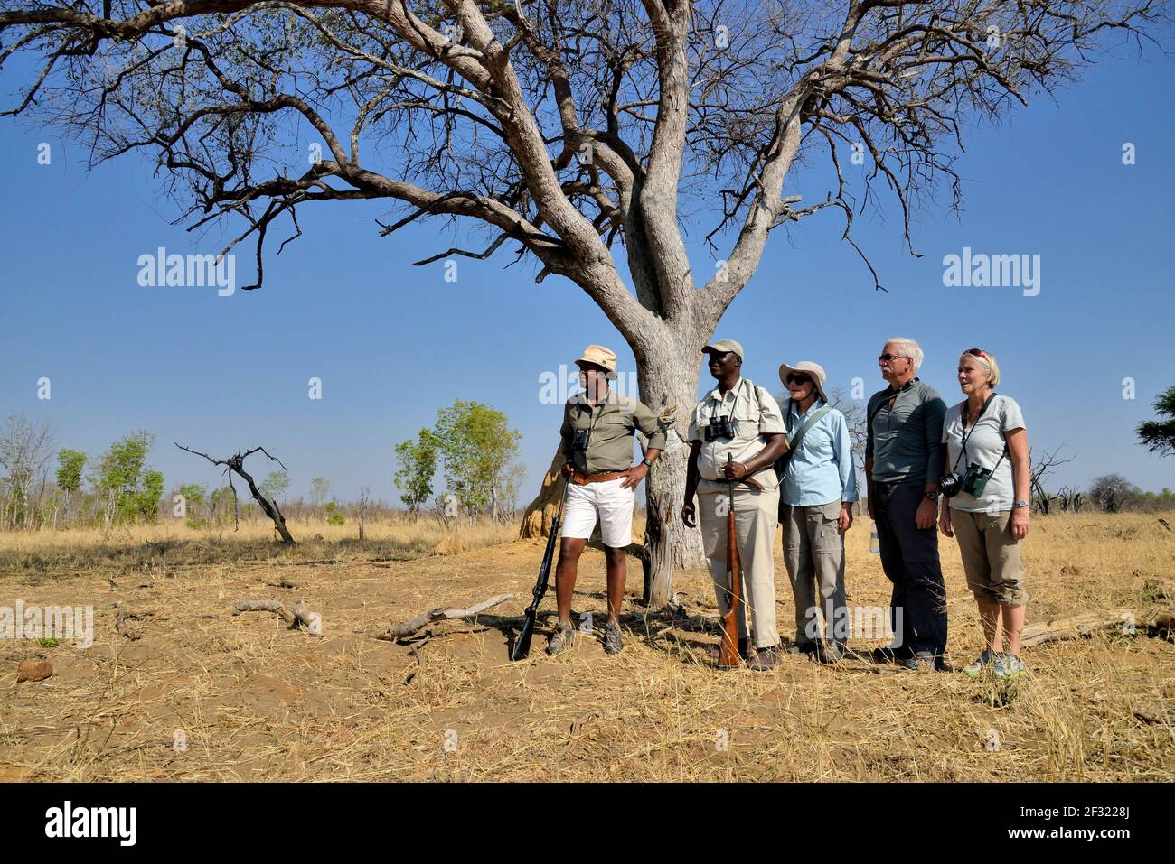Geografia / viaggio, Zimbabwe, Beks Ndlovu con gli ospiti a un Fusssafari, Hwange-Nationalpark, Matabelela, Additional-Rights-Clearance-Info-Not-Available Foto Stock