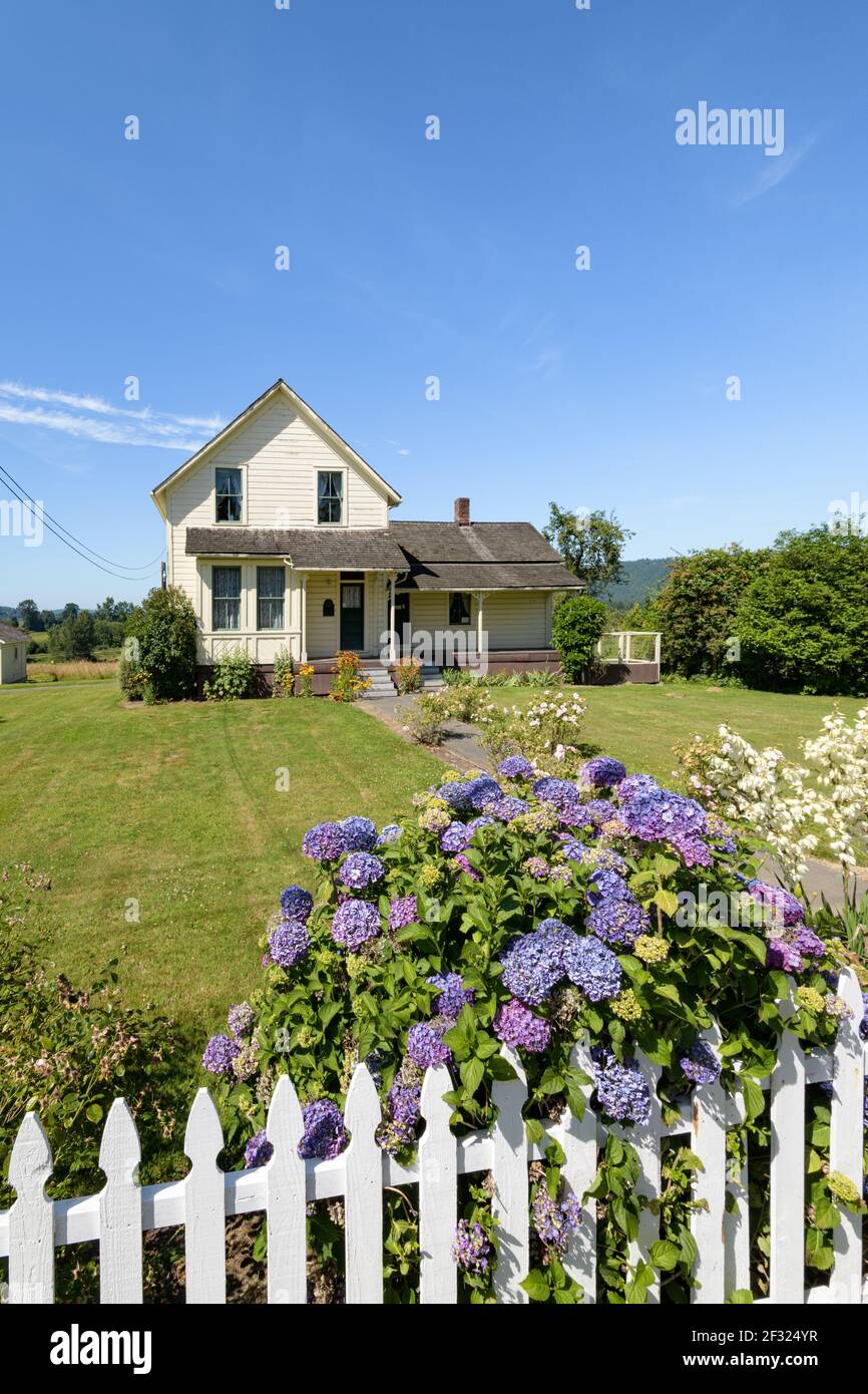 La storica fattoria Dougherty a Duvall Washington sotto il cielo blu con recinzione bianca e idrangea viola Foto Stock