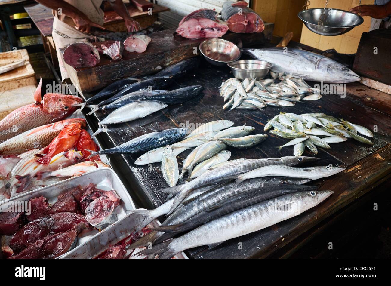 Pesce fresco al mercato in Colombo, Sri Lanka. Foto Stock
