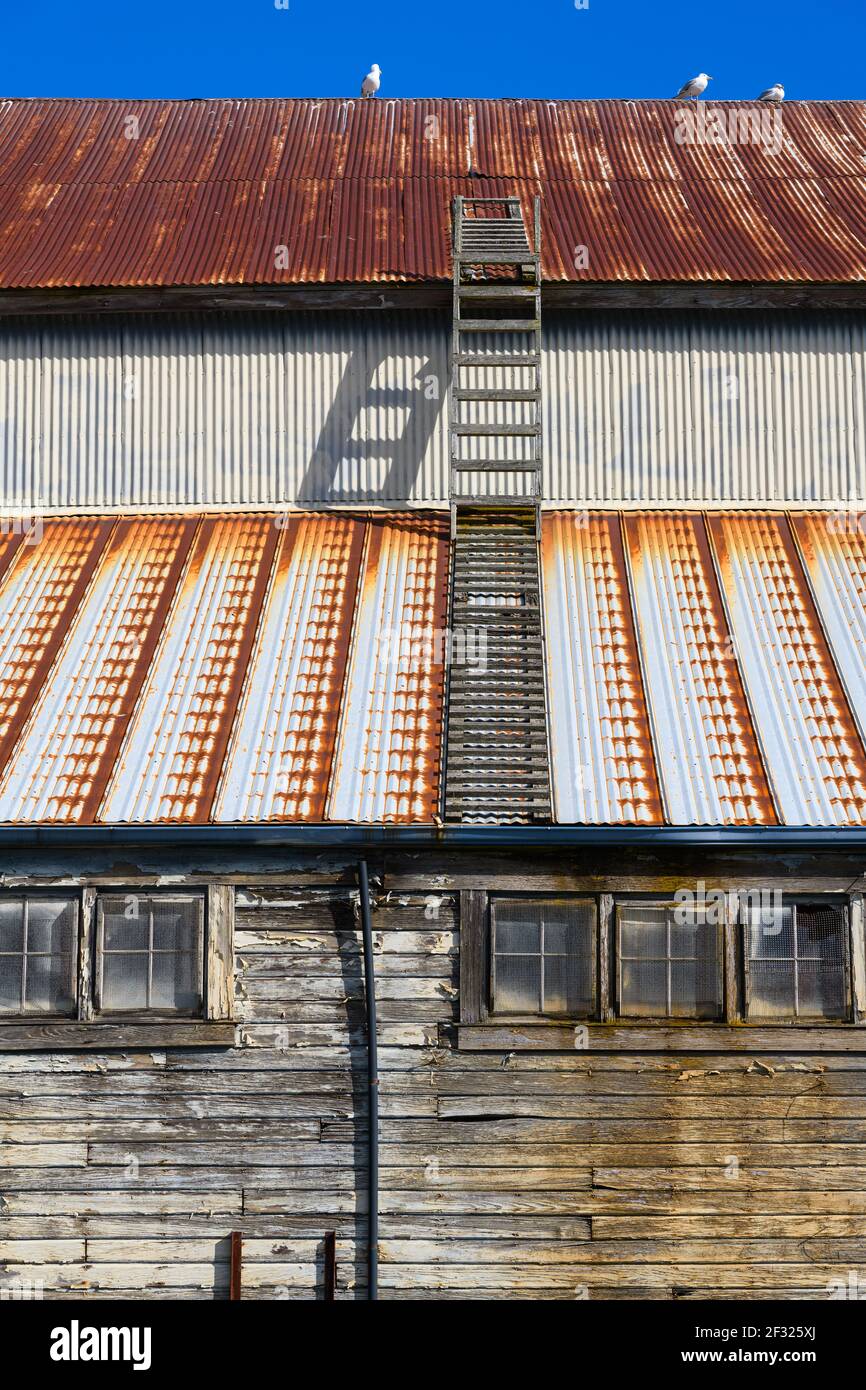 Ruggine e invecchiamento su un edificio a più piani con scale Sul tetto a la Conner nella valle di Skagit Dello stato di Washington Foto Stock