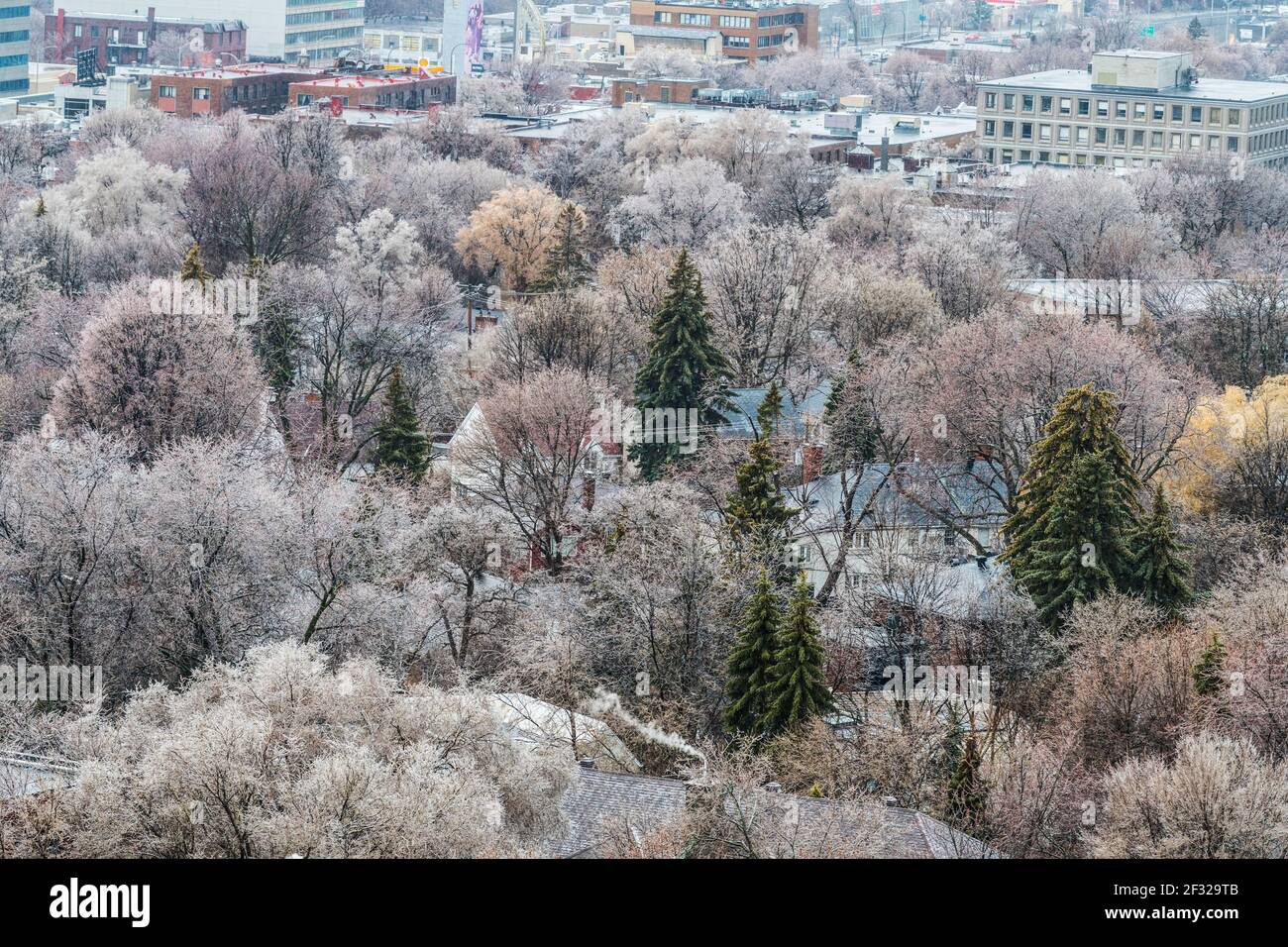 Montreal 16 aprile 2018, pioggia congelata sugli alberi. Tetti ed edifici ricoperti di ghiaccio, Foto Stock