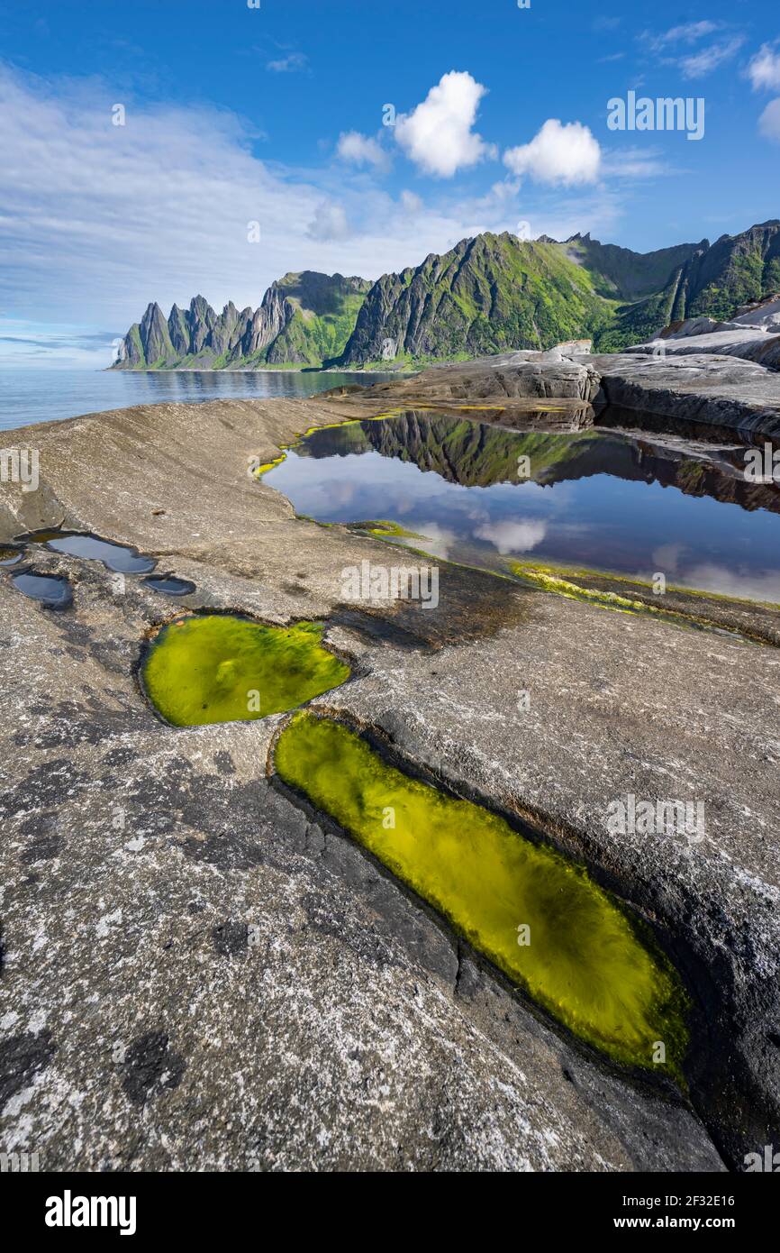 Piscina di marea, costa rocciosa di Toggeneset, picco roccioso denti del diavolo, denti del diavolo, Okshornan, Steinfjorden, Isola di Senja, Troms, Norvegia Foto Stock