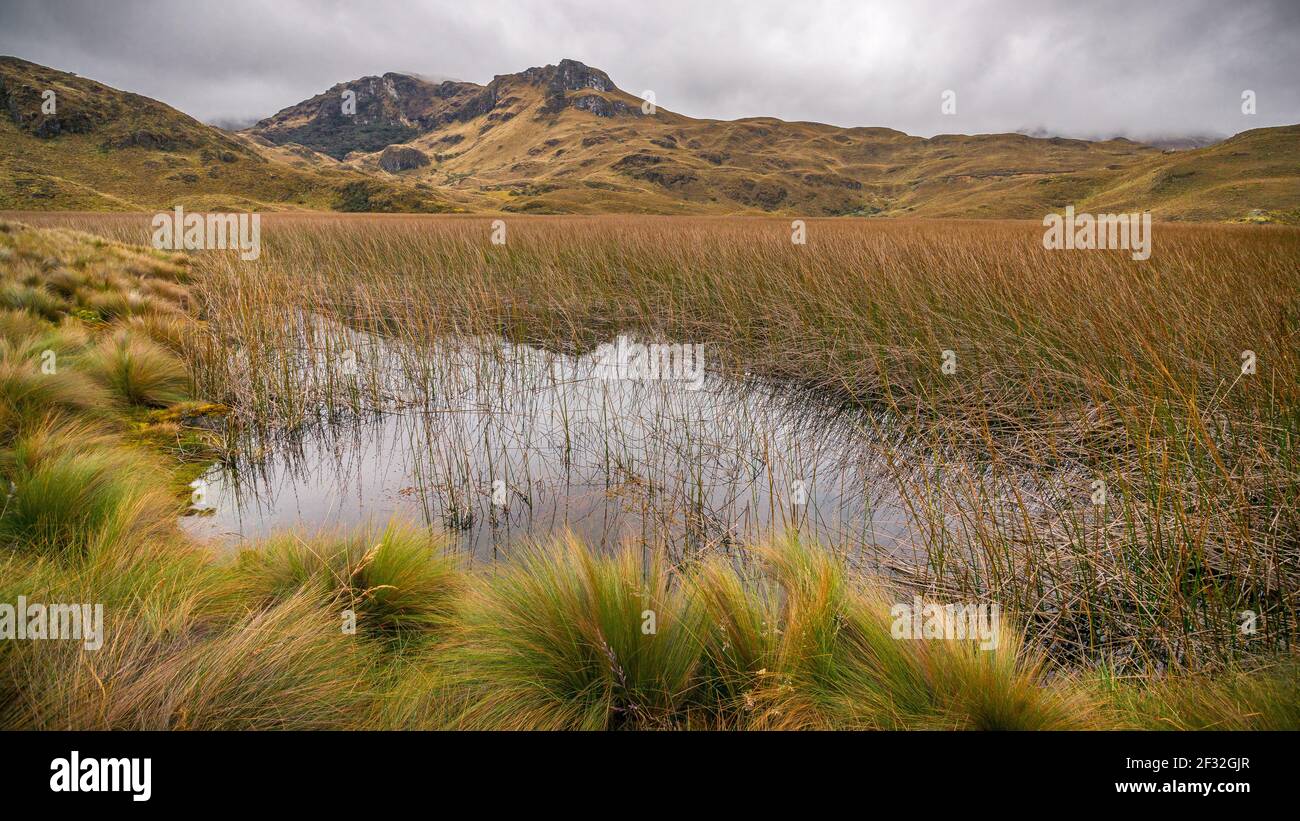 Un lago panoramico di fronte ad una dorsale di montagna in una giornata piovosa nel Parco Nazionale di Cajas vicino a Cuenca, Ecuador. Foto Stock