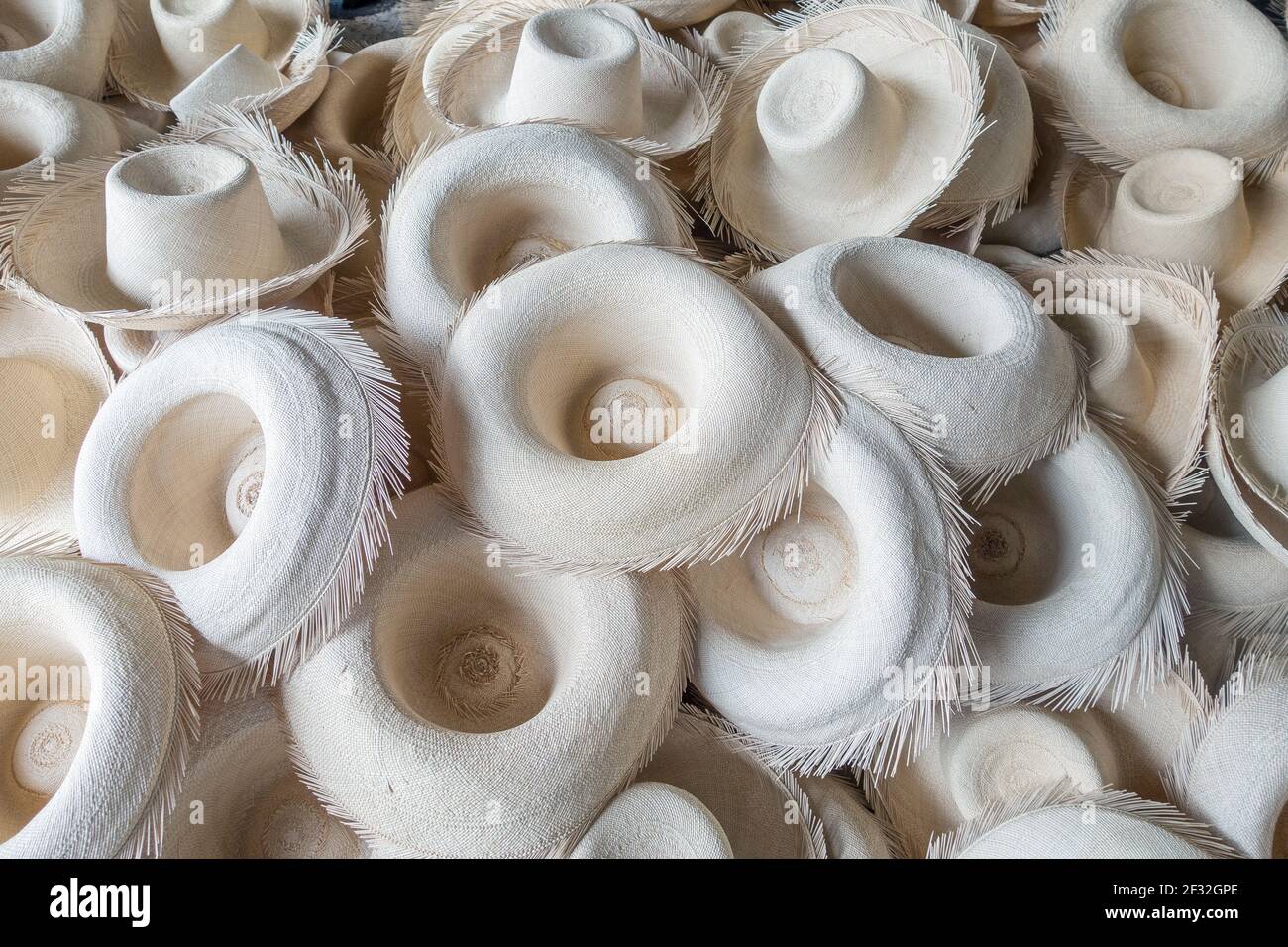 Cappello bianco semifinito di panama, simbolo dell'Ecuador, fatto di paglia di toquilla in fabbrica a Cuenca. È tessuto da fibre da un albero di palma Foto Stock