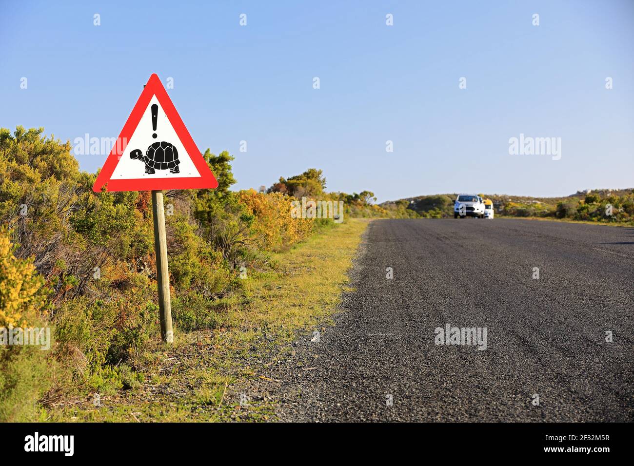 Cartello stradale, attenzione tartarughe, Penisola del Capo, Capo Occidentale, Sud Africa Foto Stock