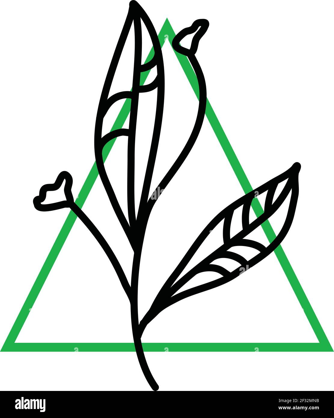 Due fiori minimalistici con due grandi foglie, illustrazione, vettore su sfondo bianco Illustrazione Vettoriale