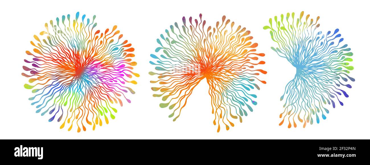 Splendidi colori di andelioni. Set di fiori astratti multicolore. Illustrazione vettoriale Illustrazione Vettoriale