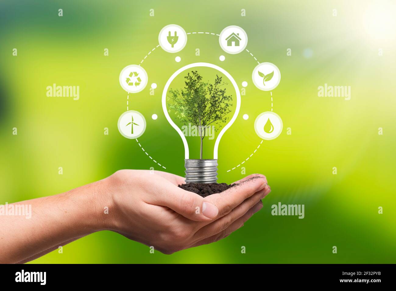 Protezione dell'ambiente, fonti energetiche rinnovabili e sostenibili. Pianta che cresce nel concetto di bulbo Foto Stock