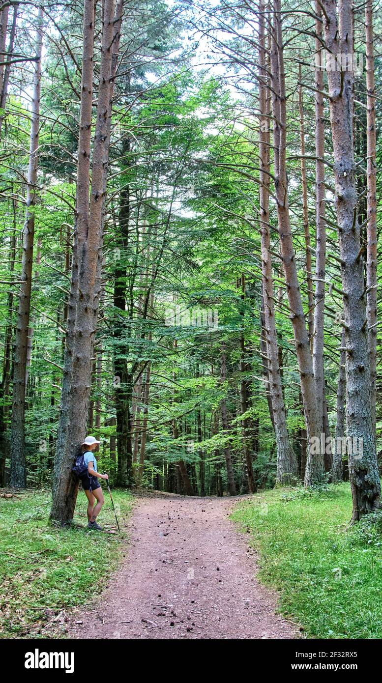 Donna escursionista con un cappello in un percorso in un paesaggio forestale. Foto Stock