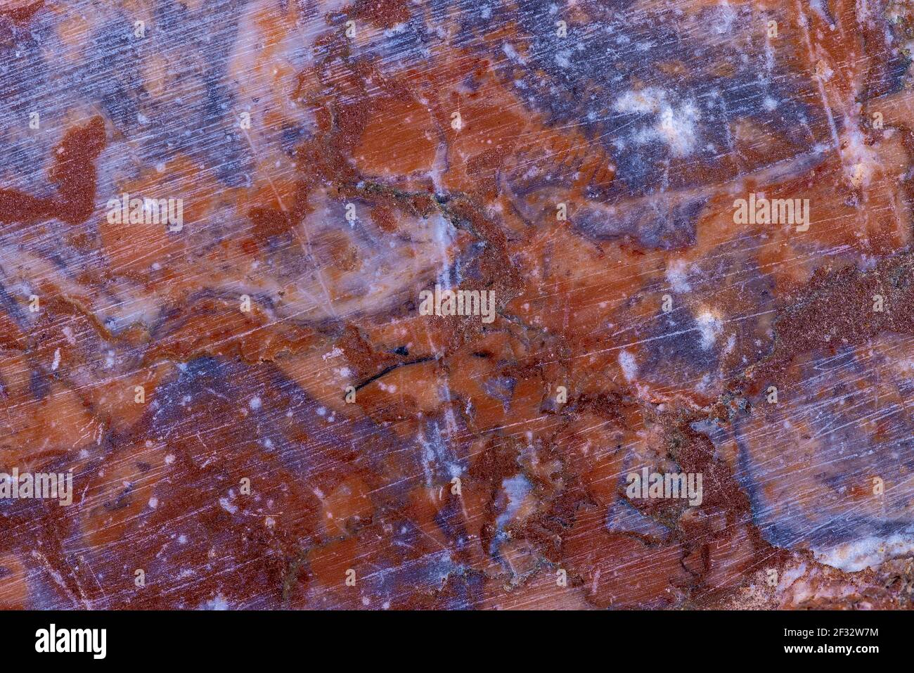 Marmo di Lahn in un closeup Foto Stock
