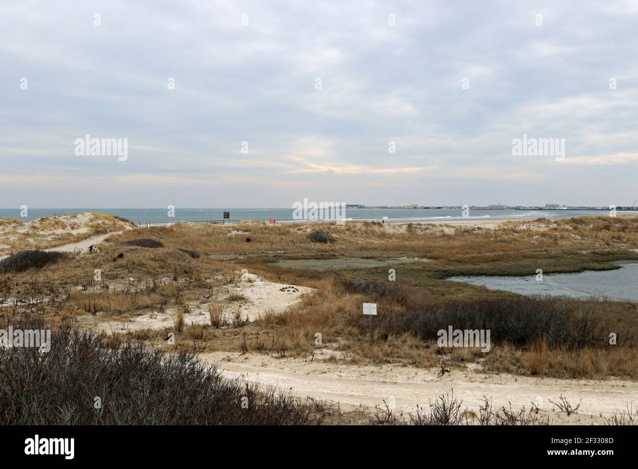 Stone Harbor Point, un'area protetta di Stone Harbor, New Jersey, USA. Le paludi della baia incontrano l'Oceano Atlantico e l'entrata di Hereford Foto Stock