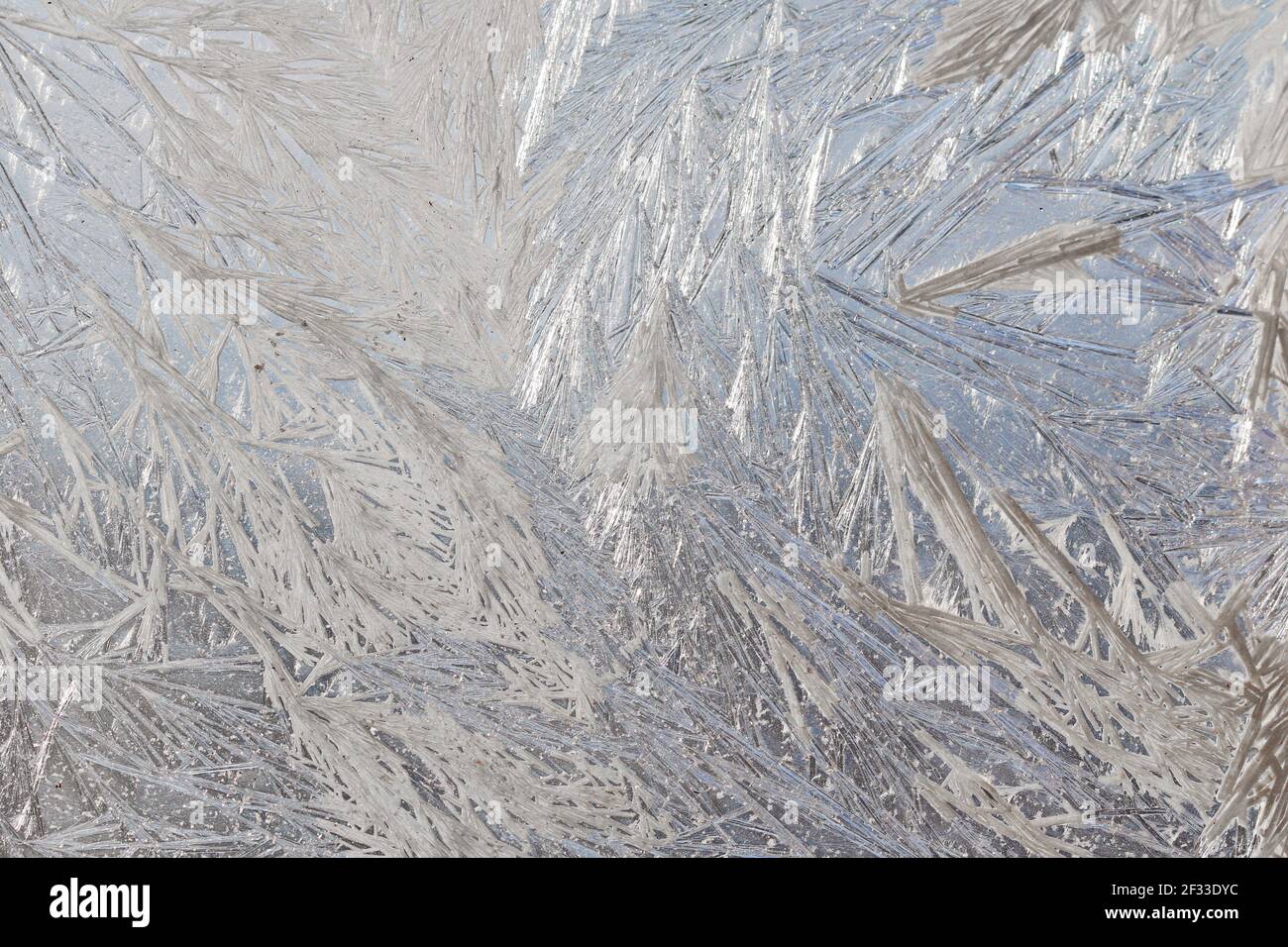 Inverno neve gelido motivi sulla finestra di vetro. Magia invernale. Meraviglie gelide. Modelli astratti. Foto Stock