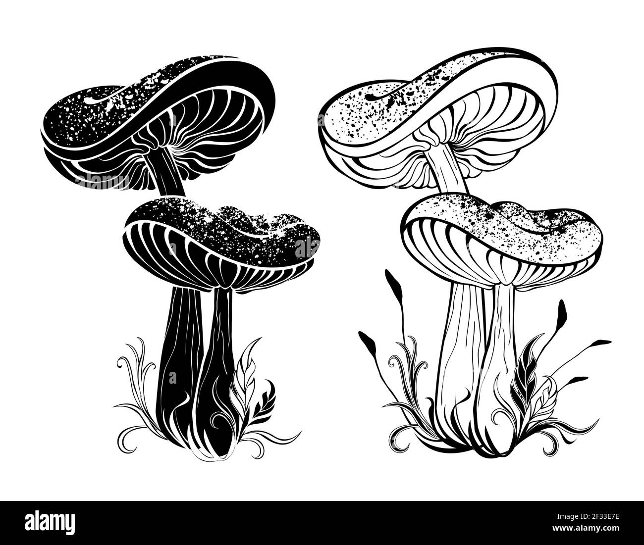 Due funghi monocromi, contour, silhouette, mature con grandi tappi su sfondo bianco. Stencil. Illustrazione Vettoriale