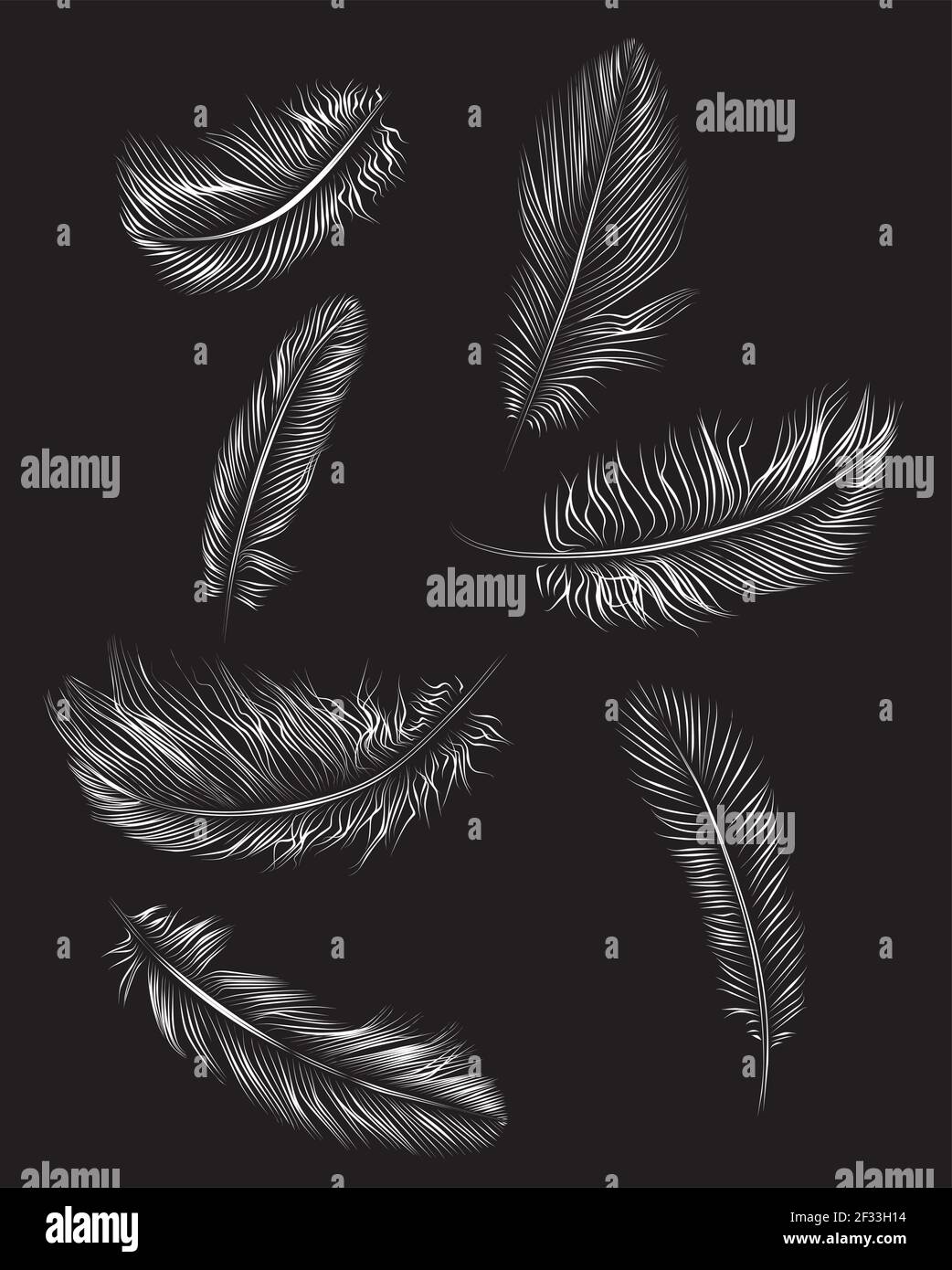 Illustrazione vettoriale del set di piume Illustrazione Vettoriale