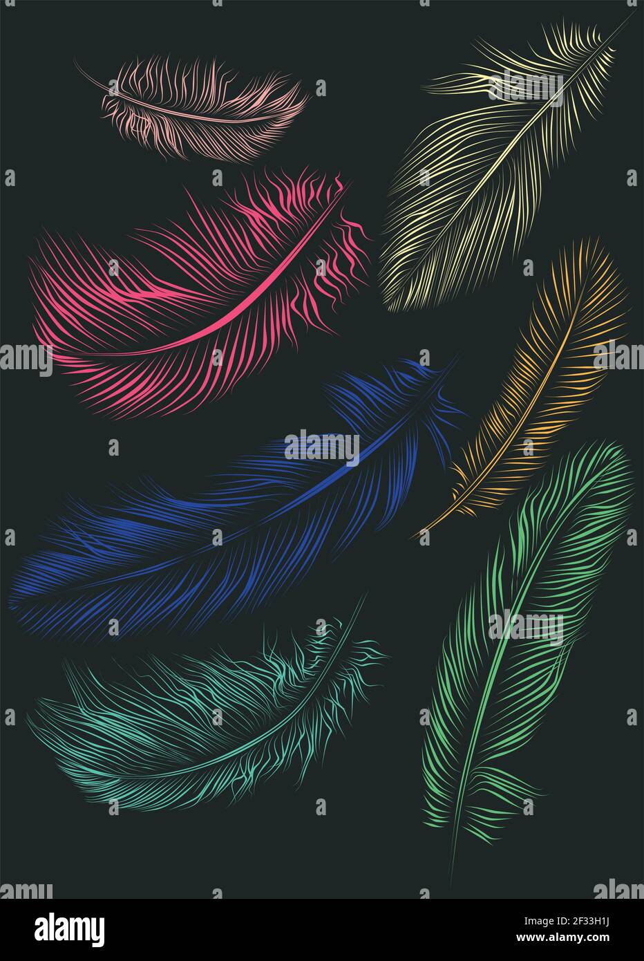 Illustrazione vettoriale del set di piume Illustrazione Vettoriale
