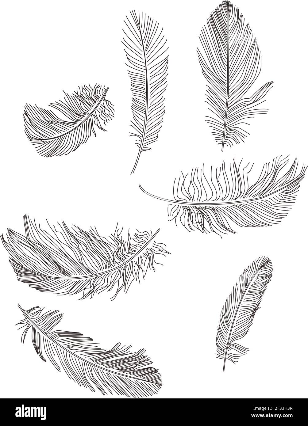 Illustrazione vettoriale del set di piume Illustrazione Vettoriale