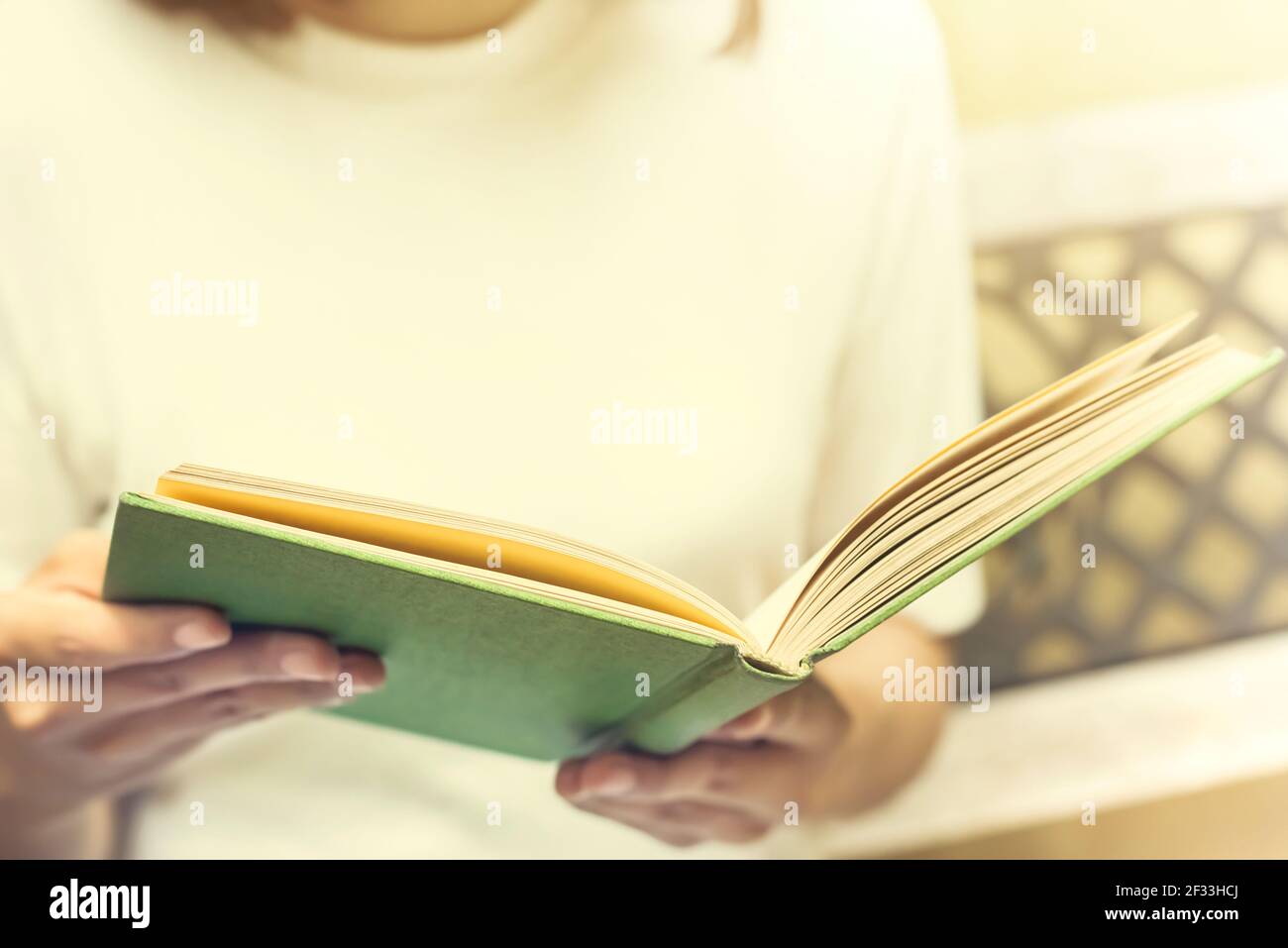 Donna lettura libro sulla panchina, effetto tono vintage Foto Stock
