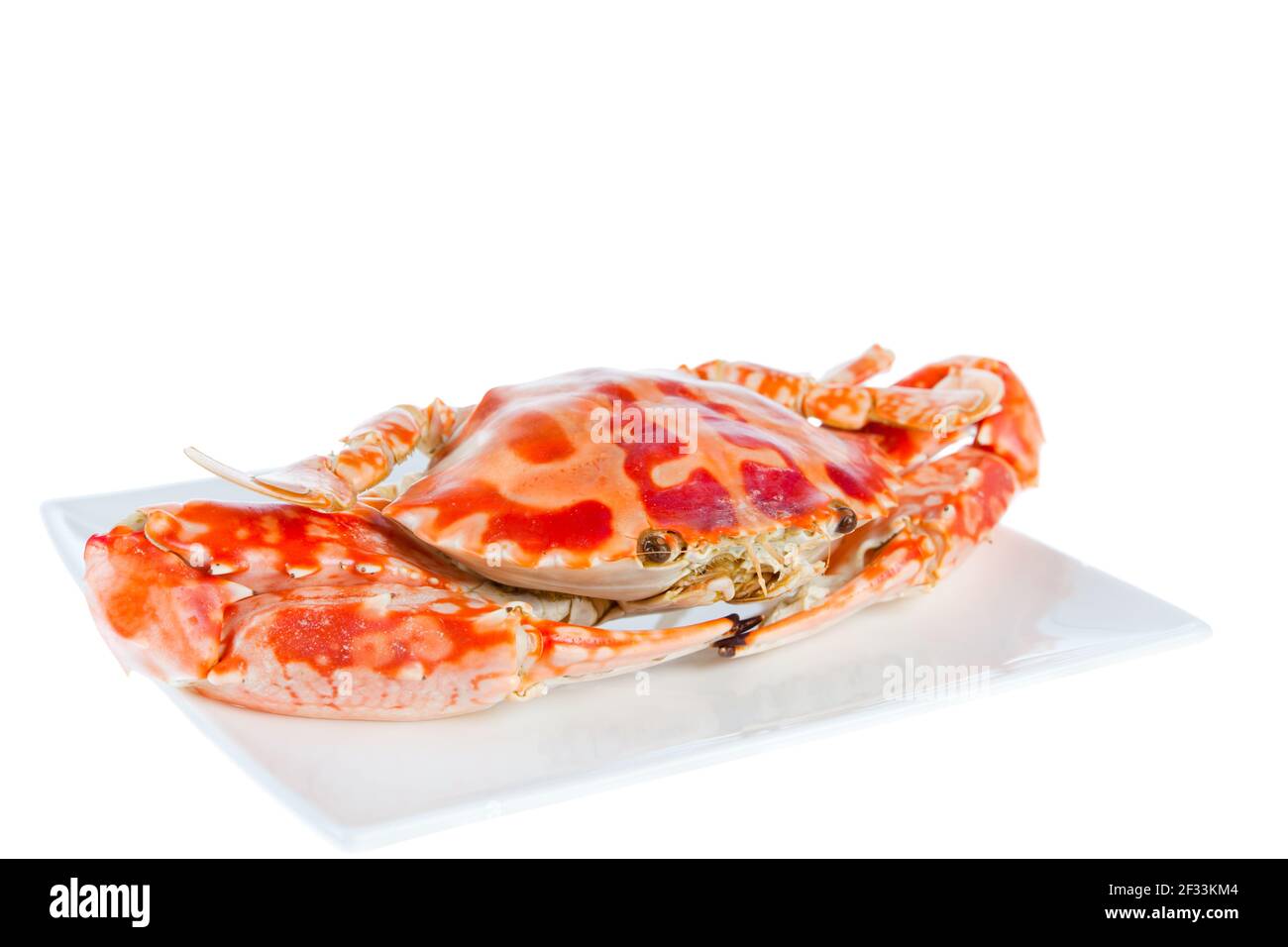 Delizioso granchio blu cotto a vapore su un piatto, isolato su sfondo bianco, girato in studio Foto Stock