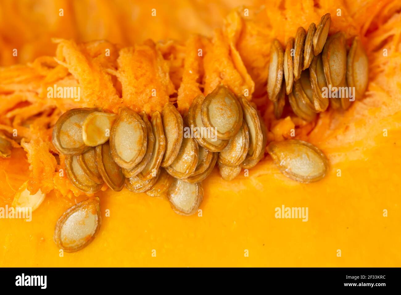 macro shot di zucca a fette Foto Stock