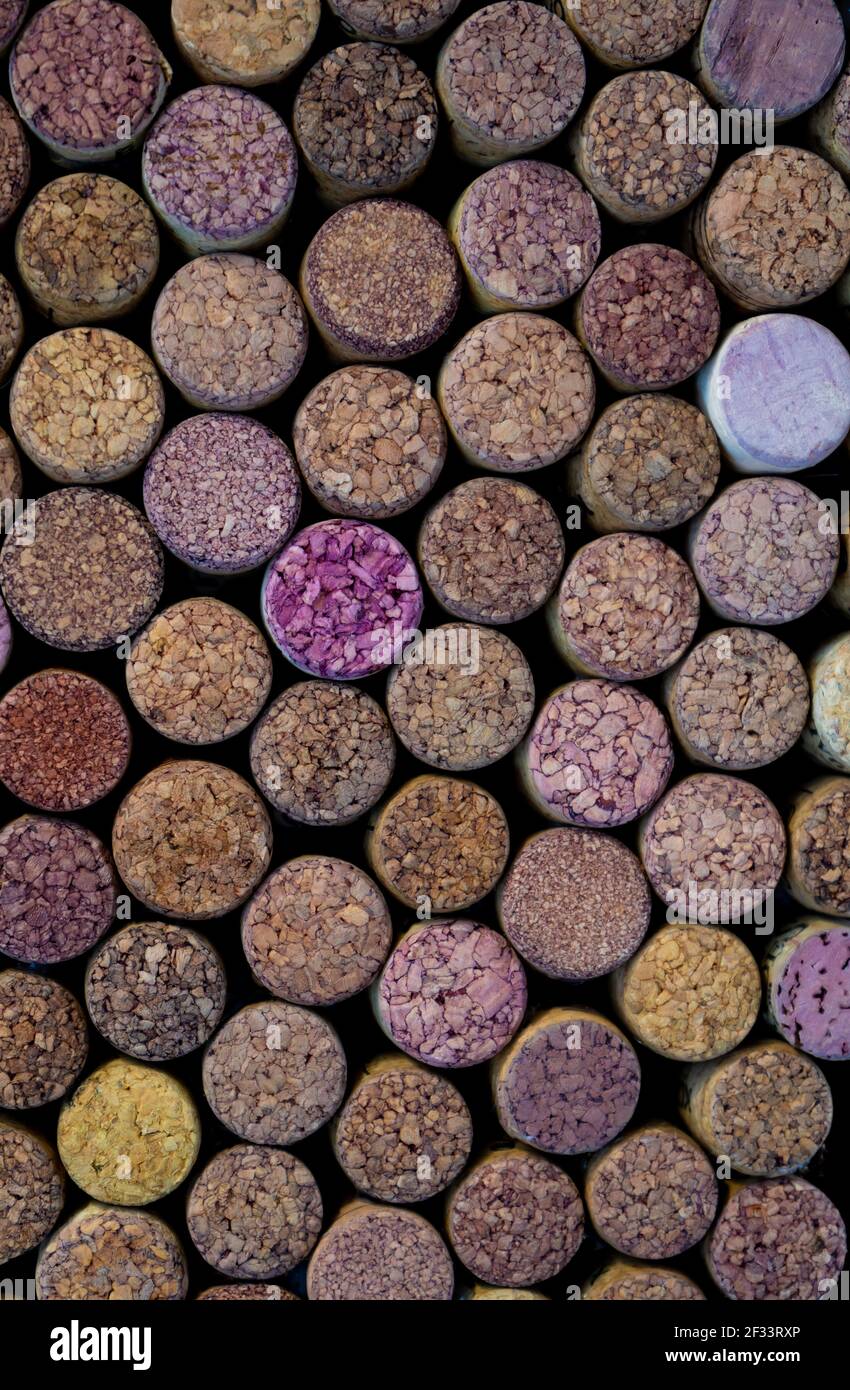 Sfondo di vino. Molti tappi per bottiglie. Corteccia sughero. Tappi per bottiglia di vino. Vista dall'alto. Piatto. Foto Stock