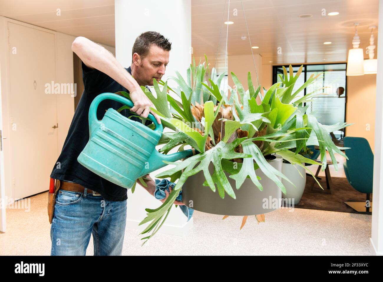 Geldrop, Paesi Bassi. Portatore di servizio maschile che si occupa di impianti di ufficio all'interno di un edificio di banca. Foto Stock