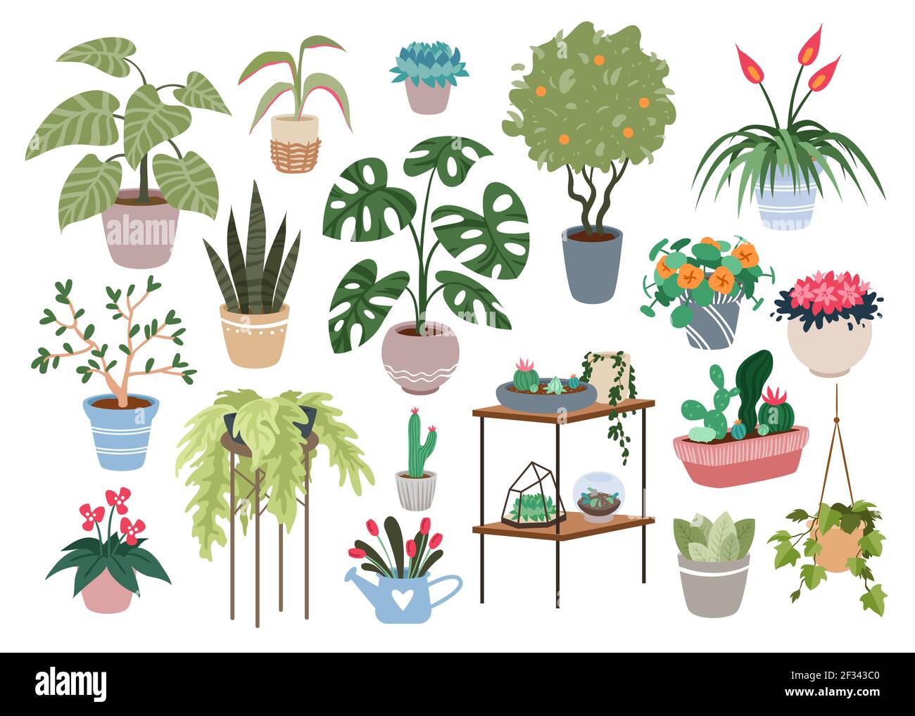 Piante domestiche, set di piante domestiche, collezione verde di decorazione della casa botanica per la casa o l'ufficio Illustrazione Vettoriale