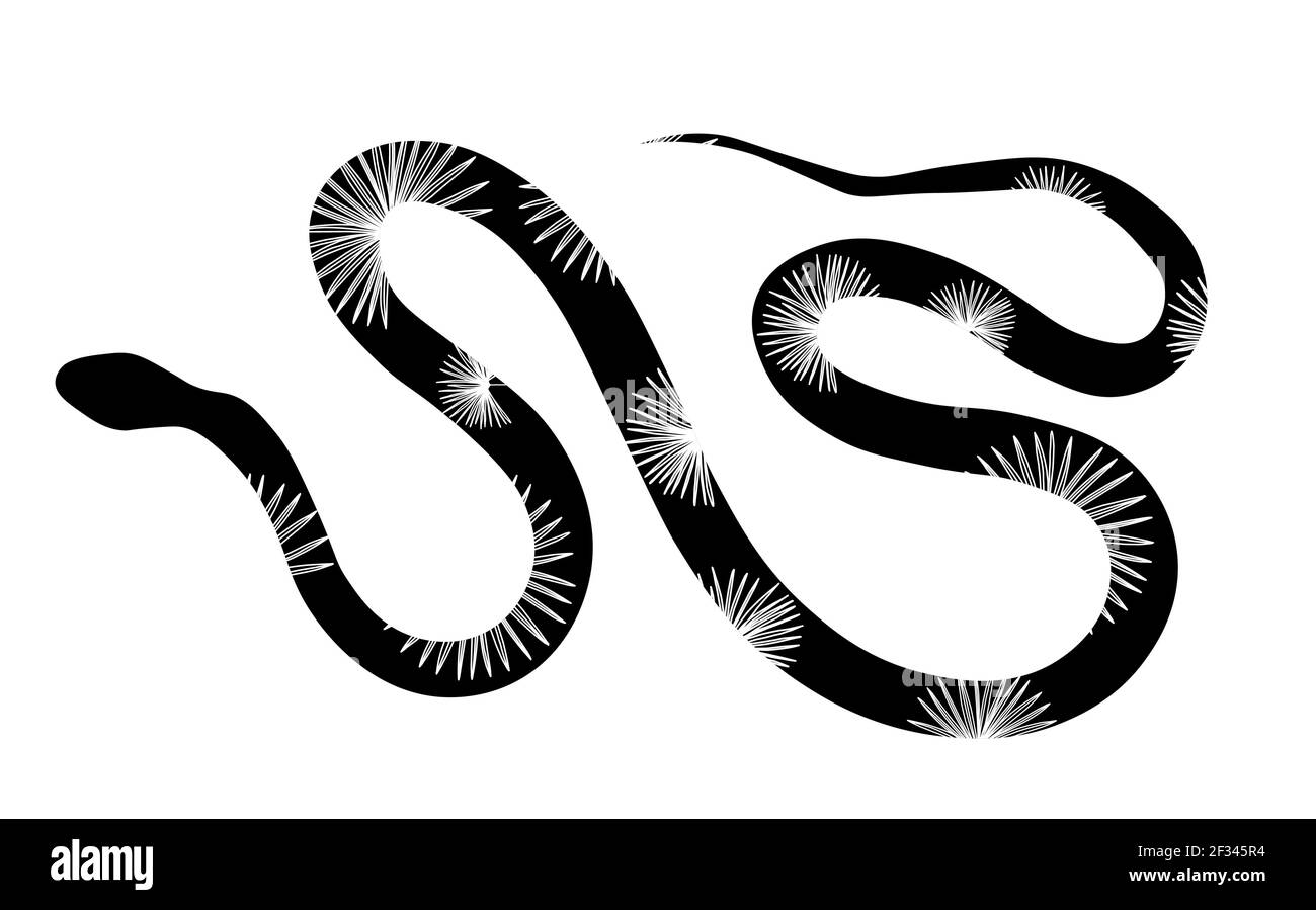 Serpente marino tropicale isolato su sfondo bianco. Pelle di serpente. Rettile. Illustrazione vettoriale. Illustrazione Vettoriale