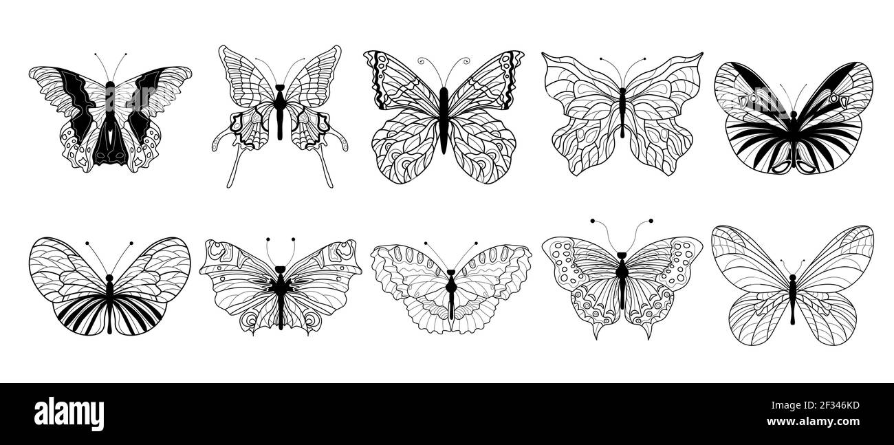 Farfalle set. Farfalle disegnate su uno sfondo bianco isolato. Ali. Illustrazione vettoriale. Illustrazione Vettoriale