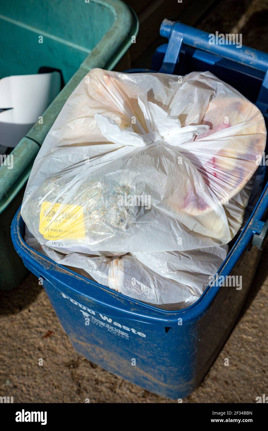 Spazzatura, cibo, bidone della spazzatura, sfondo bianco, vegetale, Secchio,  freschezza, senza persone, insalata, pane, Frutta, carne, Full, Concepts,  cestino di spreco di cibo Foto stock - Alamy