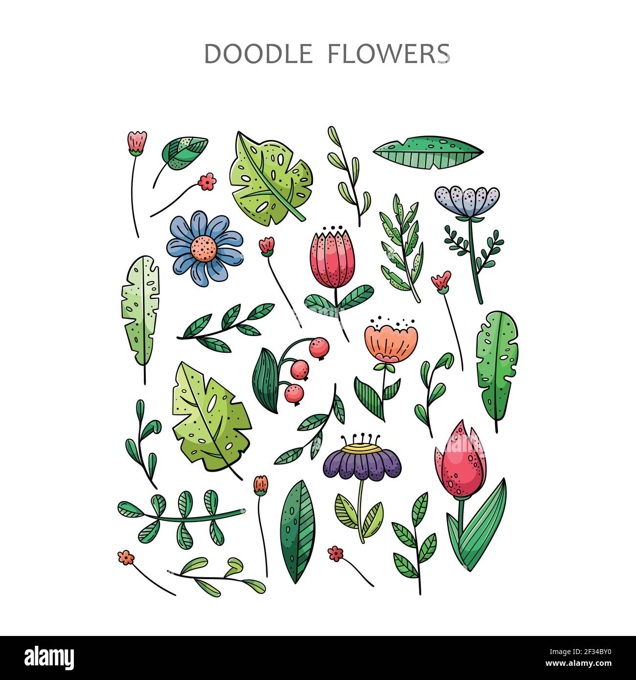 Set di doodle disegnate a mano degli elementi floreali. Fiori, piante, foglie. Illustrazione Vettoriale