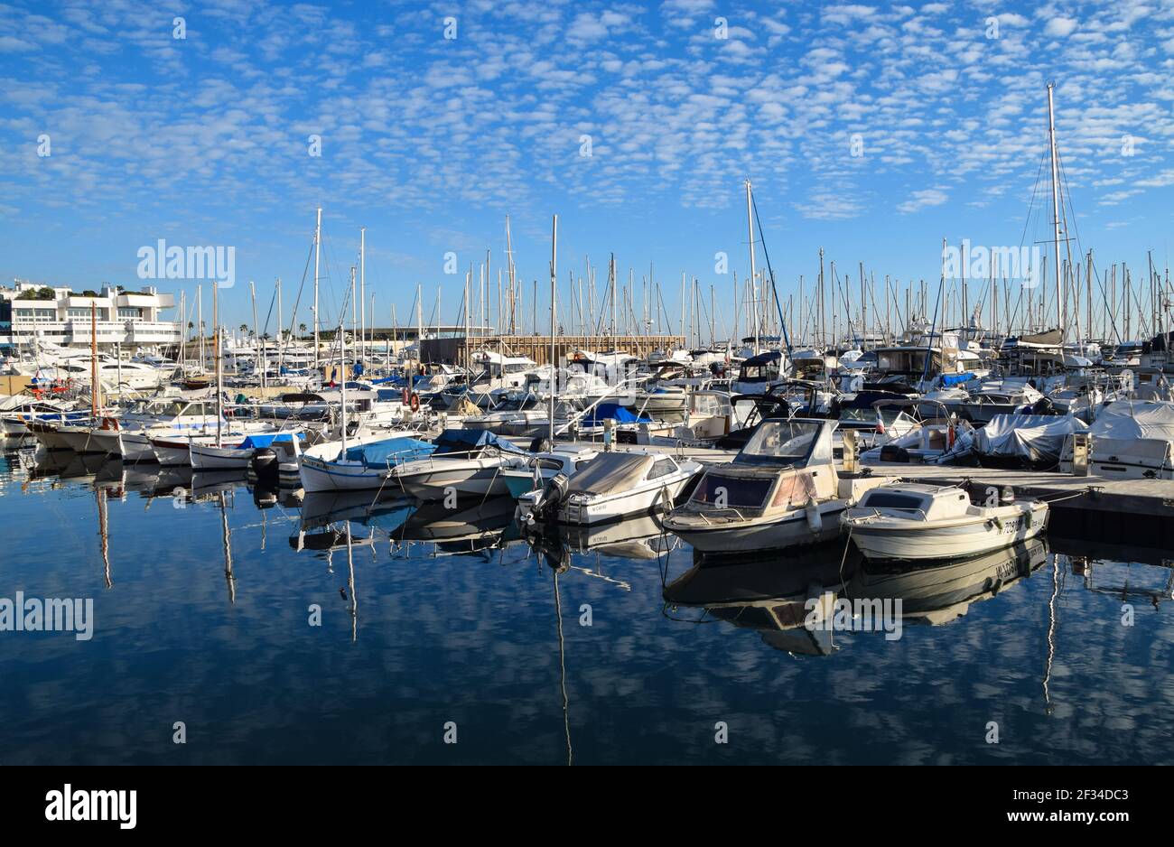 Barche nel Vecchio Porto di Cannes, nel sud della Francia Foto Stock