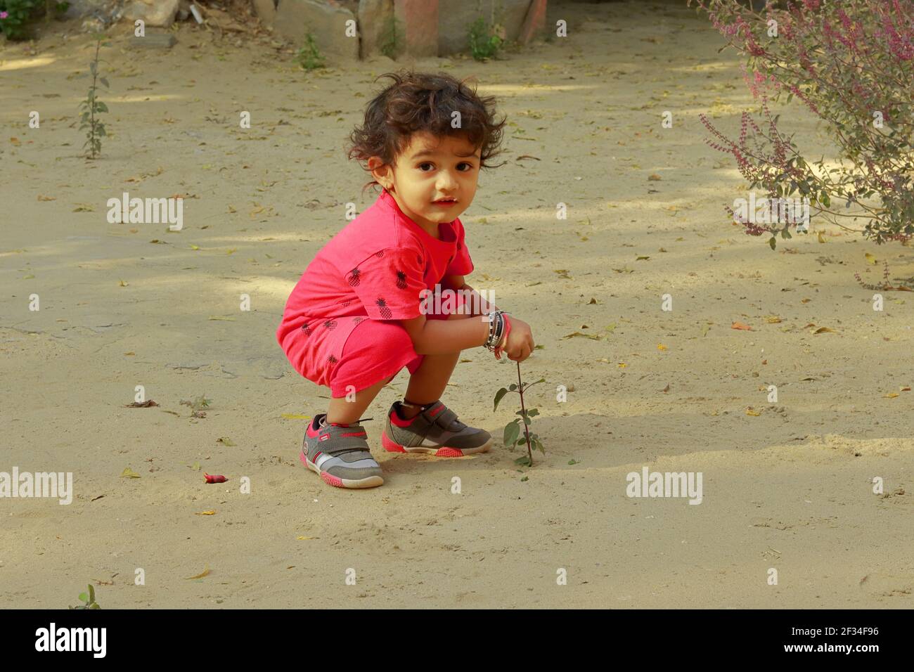 Un bambino di origine indiana rompe la foglia della pianta di medicina ayurvedica Tulsi, india.Concept per le gioie dell'infanzia, i ricordi dell'infanzia, il viso del bambino Foto Stock