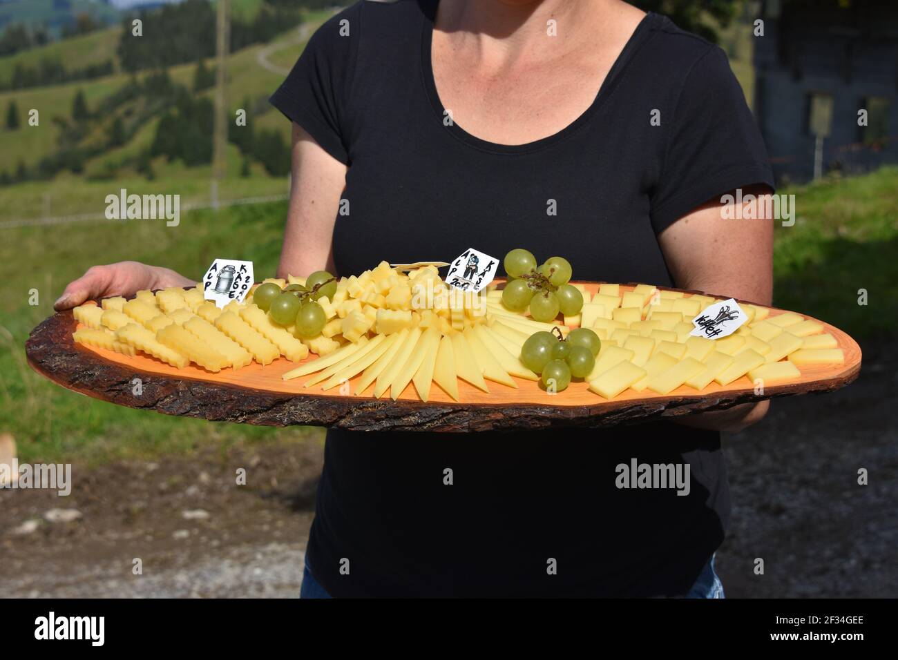 Mucche che scendono dalle Alpi, Entlebuchar Alpafahrt, Svizzera Foto Stock