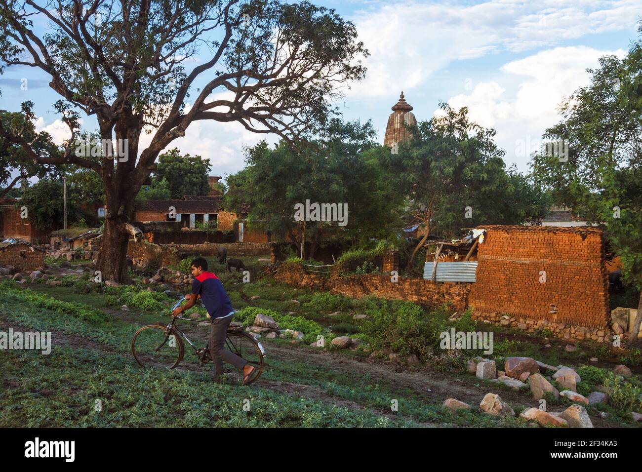 Khajuraho, Madhya Pradesh, India : UN uomo spinge una bicicletta nella campagna intorno al Tempio di Vamana parte del gruppo orientale del mondo UNESCO He Foto Stock
