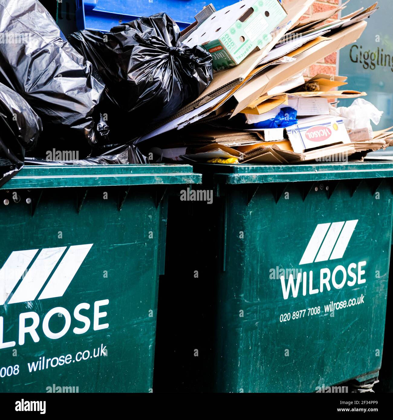 Londra UK, marzo 15 2021, Industrial Waste Wheely Bins pieno di rifiuti senza persone Foto Stock