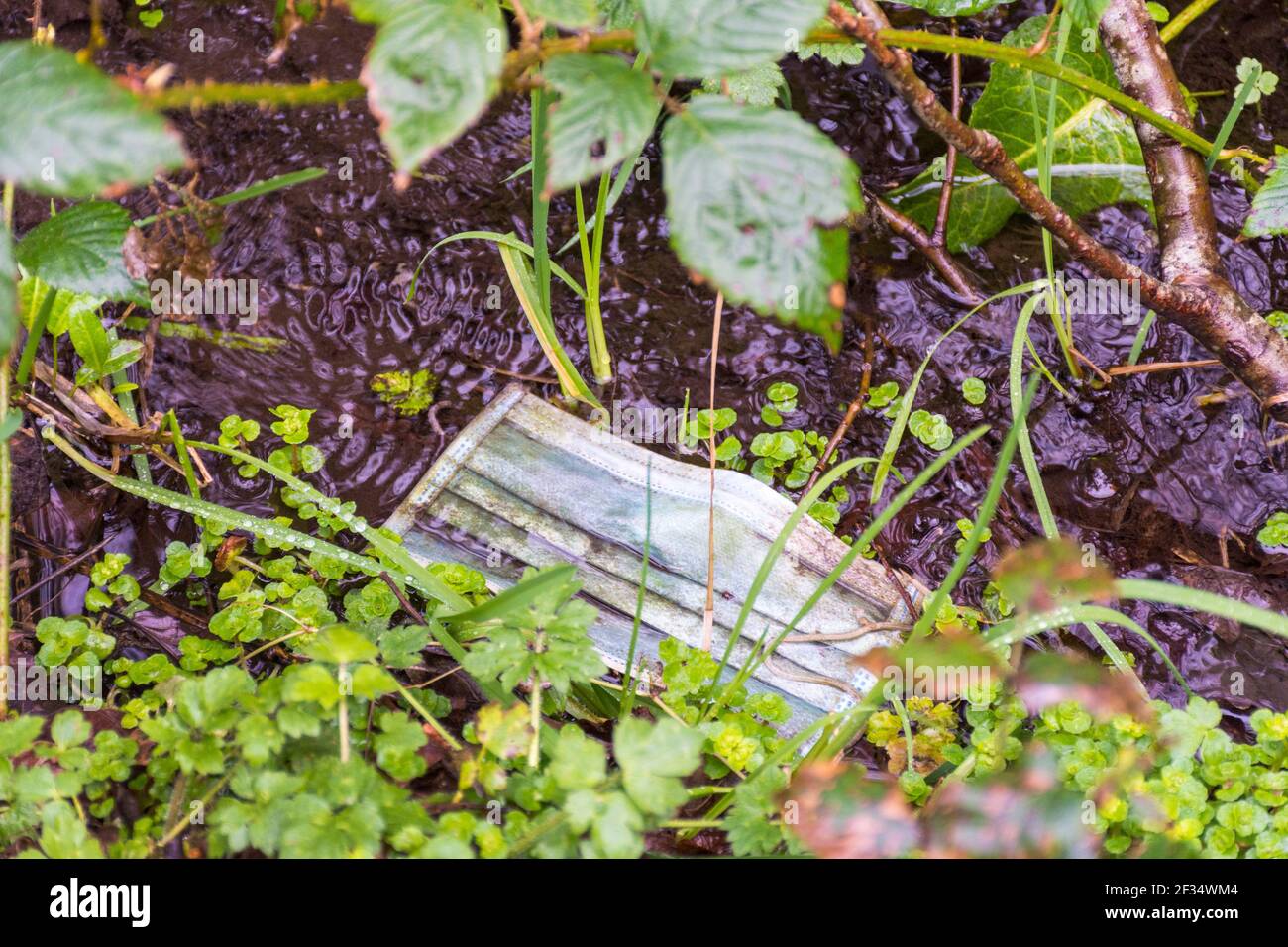 Ardara, Contea di Donegal, Irlanda. 15 marzo 2021. Facemask scartato visto in una passeggiata intorno al villaggio. L'eredità di Covid-19, coronavirus, non è solo circa la perdita della vita ma ha avuto un effetto immenso sull'ambiente in termini di figliata. Le maschere sono essenziali per la gente che entra nei negozi per esempio. Credit: Richard Wayman/Alamy Live News Foto Stock
