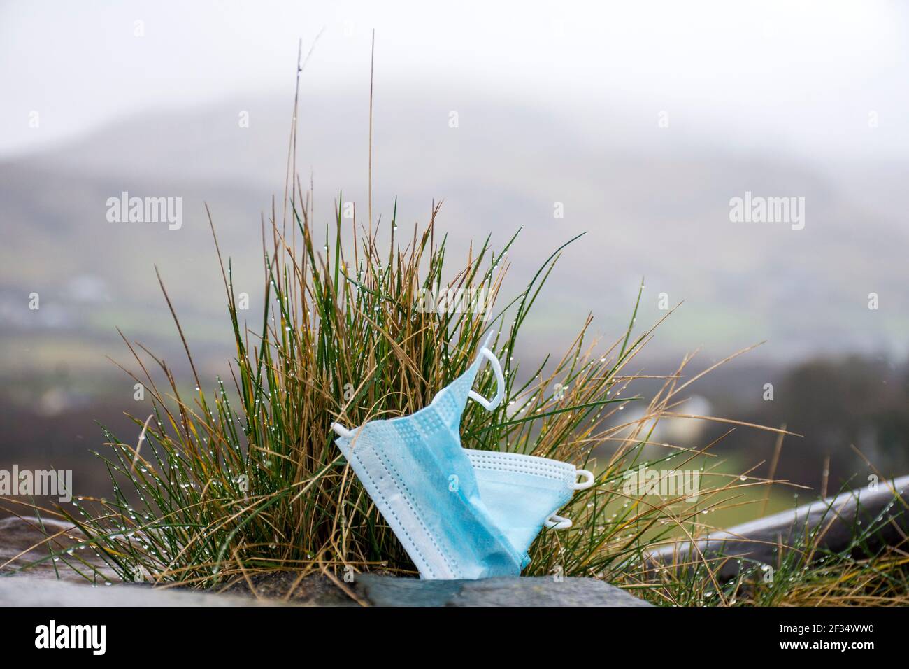 Ardara, Contea di Donegal, Irlanda. 15 marzo 2021. Facemask scartato visto in una passeggiata intorno al villaggio. L'eredità di Covid-19, coronavirus, non è solo circa la perdita della vita ma ha avuto un effetto immenso sull'ambiente in termini di figliata. Le maschere sono essenziali per la gente che entra nei negozi per esempio. Credit: Richard Wayman/Alamy Live News Foto Stock