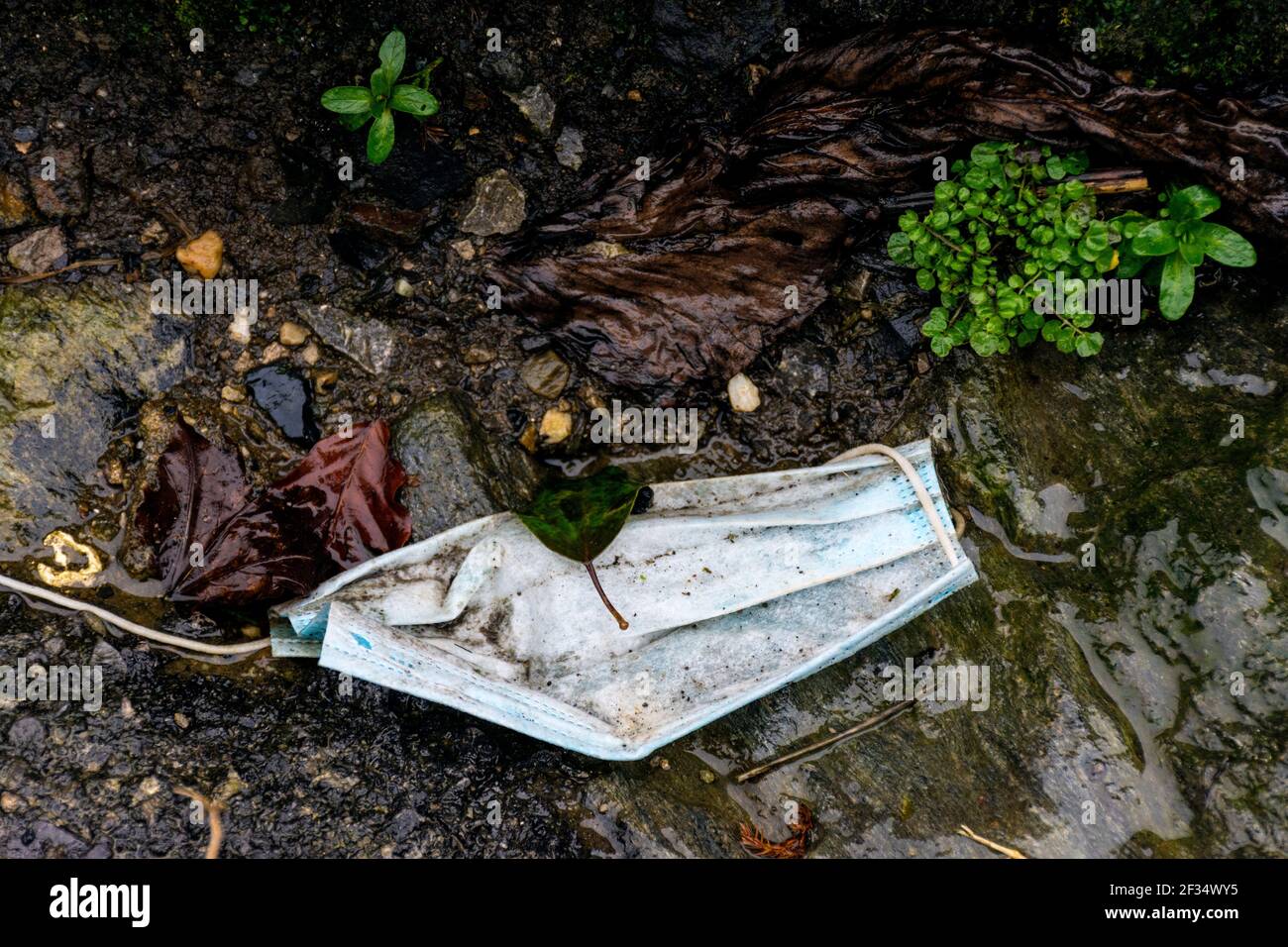 Ardara, Contea di Donegal, Irlanda. 15 marzo 2021. Facemask scartato visto in una passeggiata intorno al villaggio. L'eredità di Covid-19, coronavirus, non è solo circa la perdita della vita ma ha avuto un effetto immenso sull'ambiente in termini di figliata. Le maschere sono essenziali per la gente che entra nei negozi per esempio. Credit: Richard Wayman/Alamy Live News Foto Stock