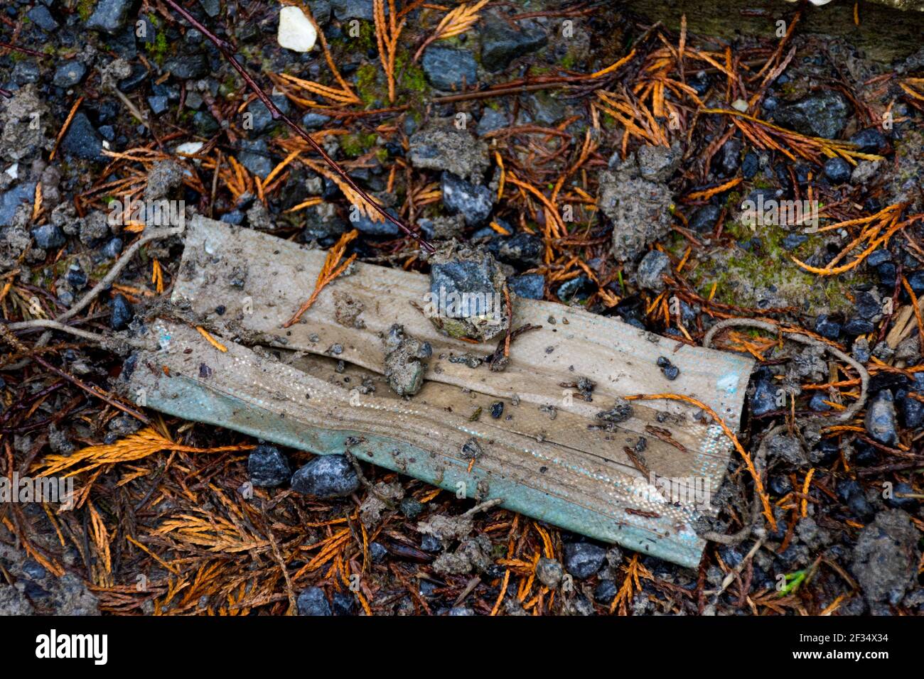 Ardara, Contea di Donegal, Irlanda. 15 marzo 2021. Facemask scartato visto in una passeggiata intorno al villaggio. L'eredità di Covid-19, coronavirus, non è solo circa la perdita della vita ma ha avuto un effetto immenso sull'ambiente in termini di figliata. Le maschere sono essenziali per la gente che entra nei negozi per esempio. Credit: Richard Wayman/Alamy Live News Foto Stock