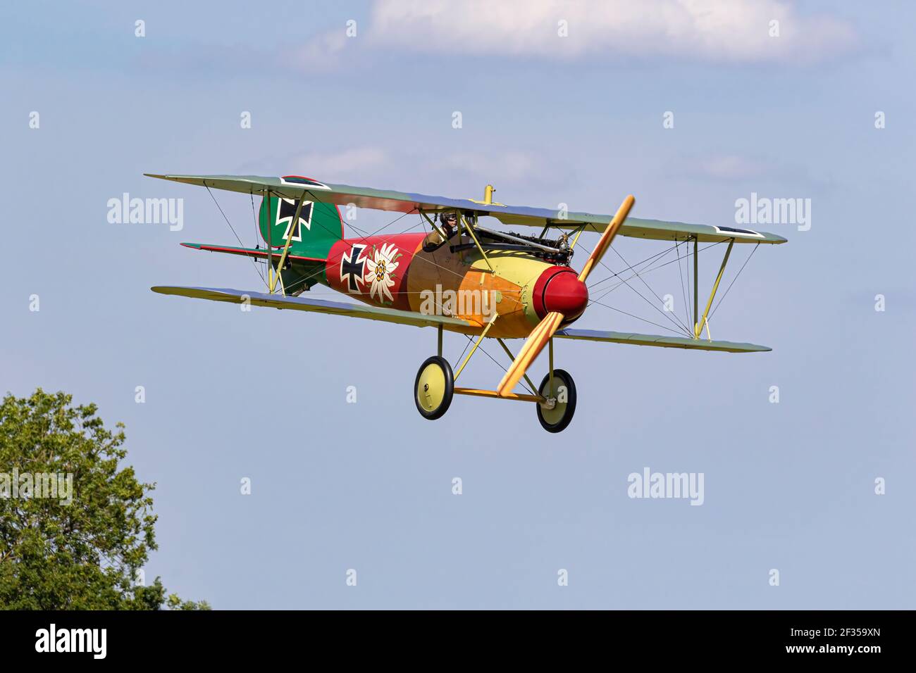 Albatros Flugzeugwerke DV Foto Stock