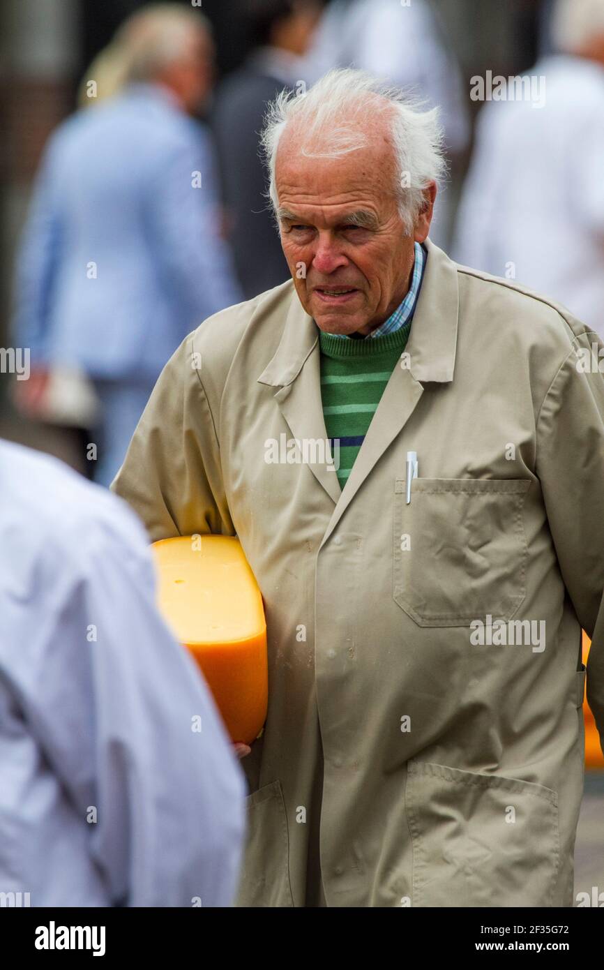 Ispettore di formaggio il test di una ruota di formaggio, Alkmaar, Paesi Bassi Foto Stock