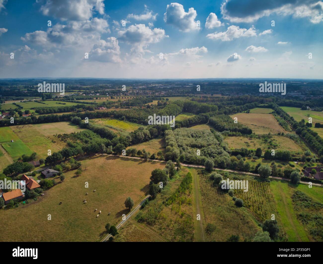 De Pinte, Belgio, agosto 2020: Veduta aerea della periferia di Gand a De Pinte, zona residenziale mista all'agricoltura Foto Stock