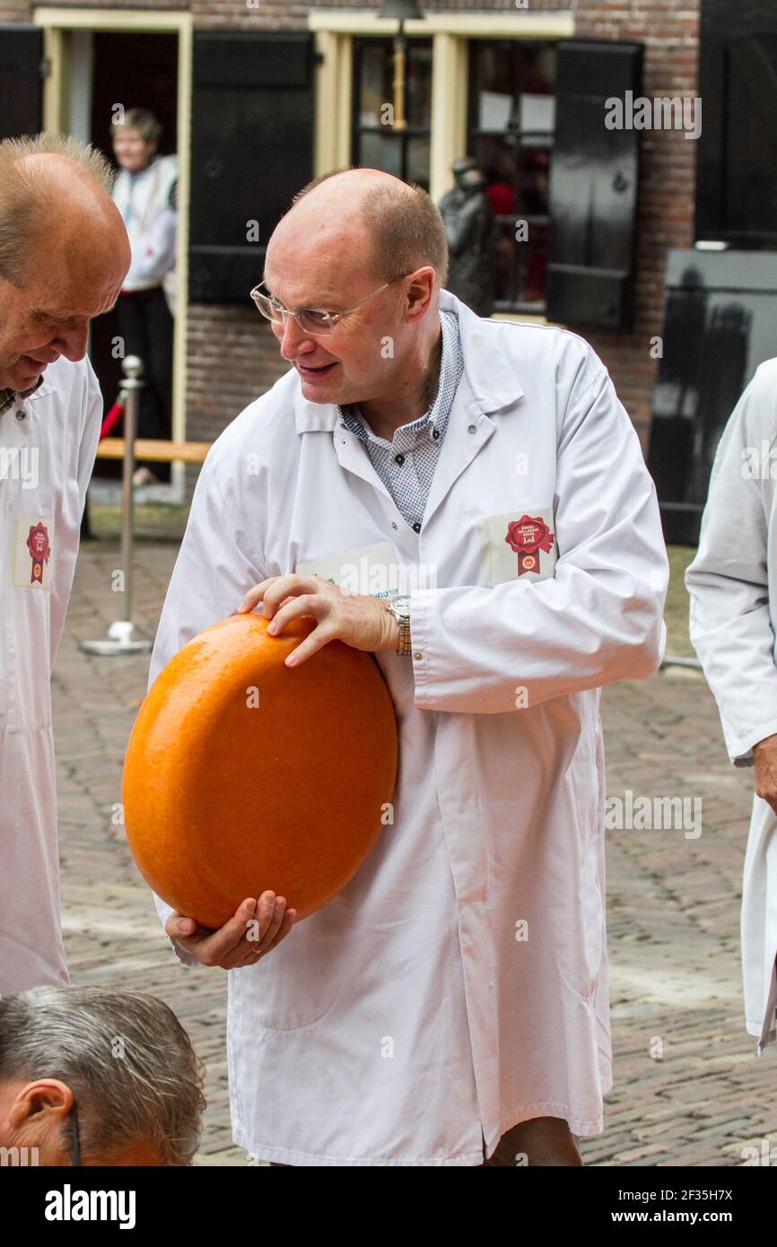Ispettore di formaggio il test di una ruota di formaggio, Alkmaar, Paesi Bassi Foto Stock