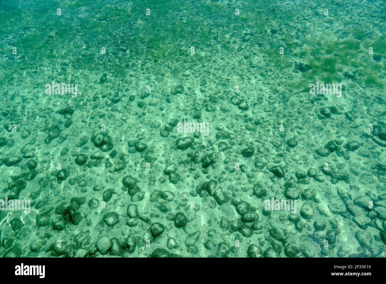 Fondo del lago di Costanza in Germania vicino alla riva in acque poco profonde di colore turchese e verde. Pietre rotonde sono coperte di sabbia. Spazio per la copia pieno. Foto Stock
