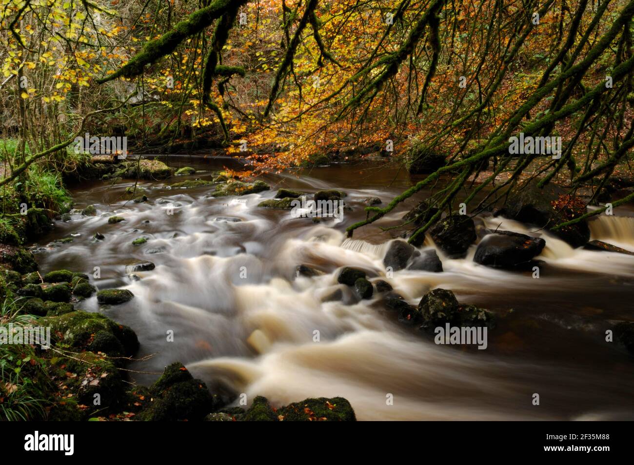 Fiume Claddagh, Claddagh Glen, Marble Arch, County Fermanagh, Regno Unito, Credito: Robert Thompson/Avalon Foto Stock