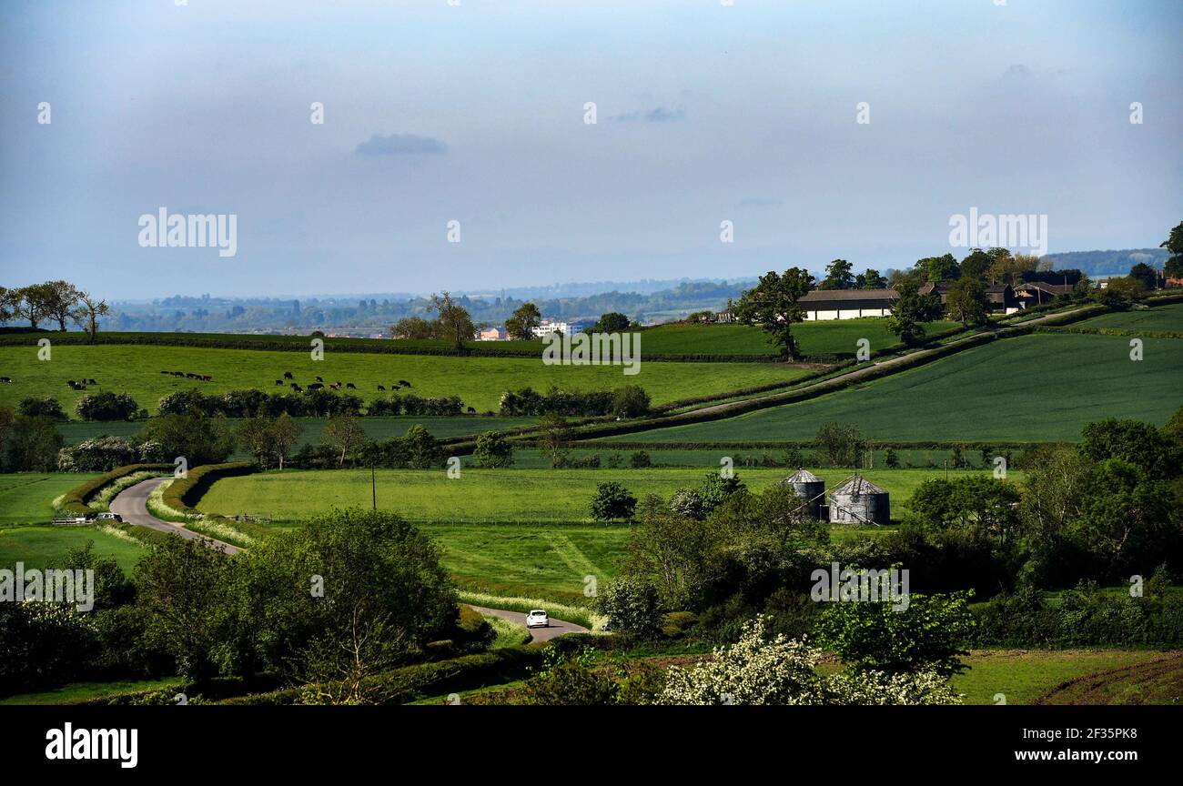 Una vista sulla campagna di una strada tortuosa attraverso campi verdi In una tipica scena inglese Foto Stock