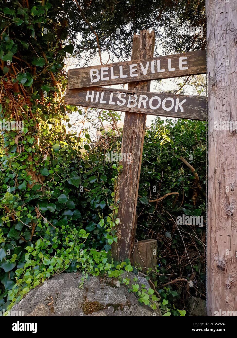 BRAY, IRLANDA - 11 aprile 2020: Immagine verticale di un vecchio segno di legno con nomi circondati dal verde. Visualizzazione esclusiva degli indirizzi nella piccola città. Foto Stock