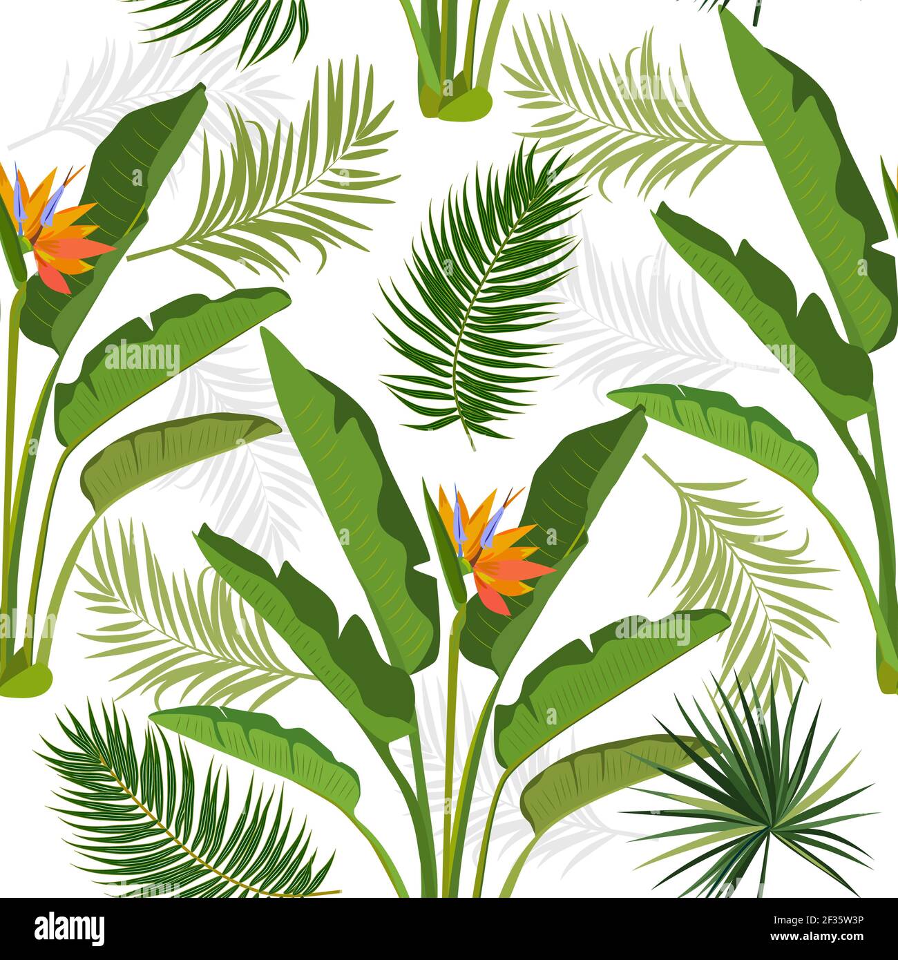 Modello vettoriale tropicale senza giunture con foglie di strelitzia, palme e fiori. Sfondo chiaro botanica, carta da parati giungla. Illustrazione Vettoriale